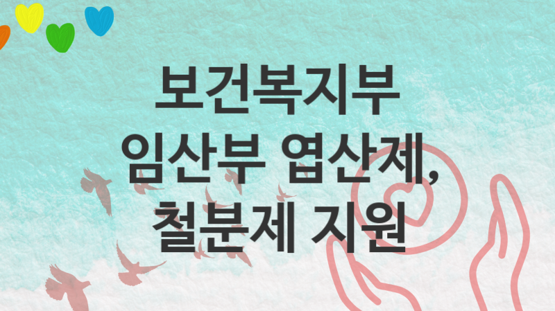 보건복지부 “임산부 엽산제, 철분제 지원” 복지 지원혜택 신청조건