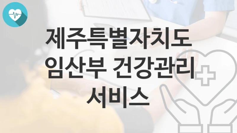 제주특별자치도
임산부 건강관리 서비스