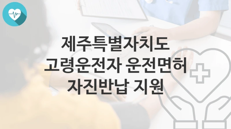 “고령운전자 운전면허 자진반납 지원” 제주특별자치도 지원혜택 일정과 신청방법