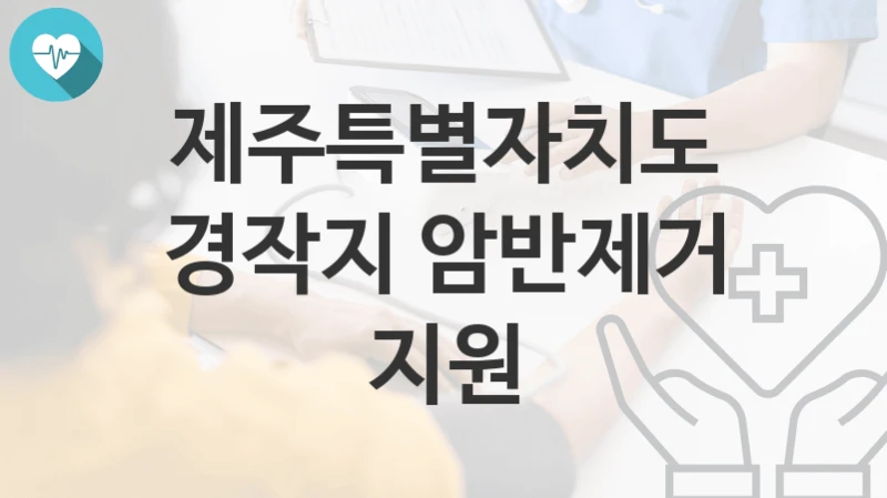 제주특별자치도
경작지 암반제거 지원