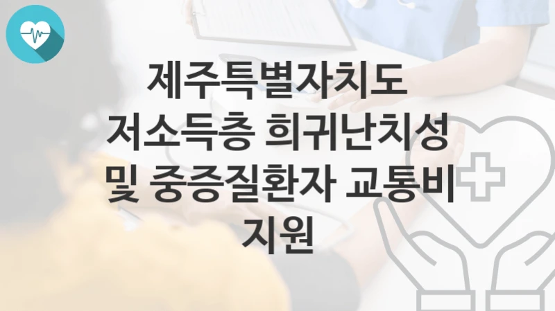 제주특별자치도
저소득층 희귀난치성 및 중증질환자 교통비 지원