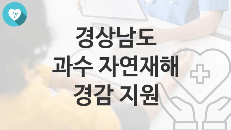 경상남도
과수 자연재해 경감 지원