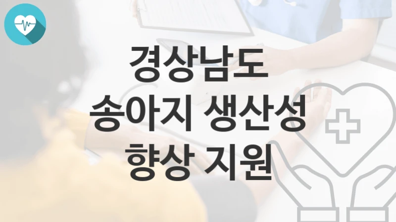 경상남도
송아지 생산성 향상 지원