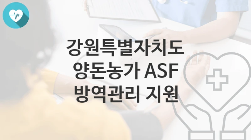 강원특별자치도 지원정책 “양돈농가 ASF 방역관리 지원” 동물방역과 – 신청 자격과 조건