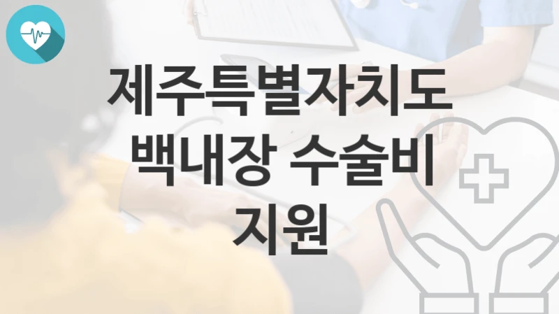 제주특별자치도
백내장 수술비 지원