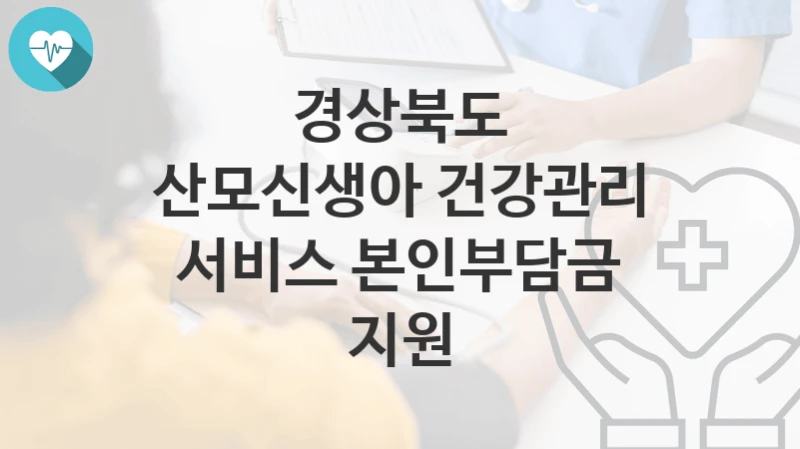 경상북도, 산모신생아 건강관리 서비스 본인부담금 지원 지원 정책정리, 신청 자격조건과 구비서류