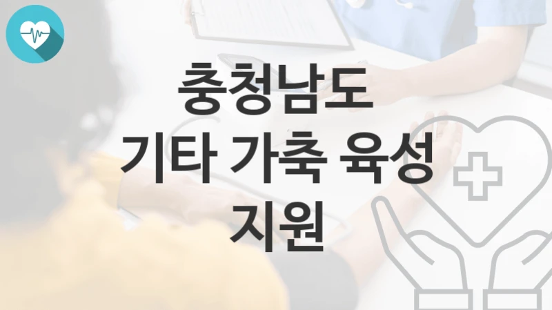 충청남도
기타 가축 육성 지원