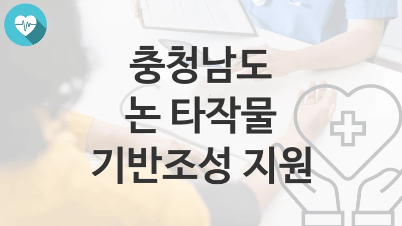 충청남도
논 타작물 기반조성 지원