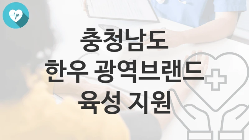 충청남도
한우 광역브랜드 육성 지원