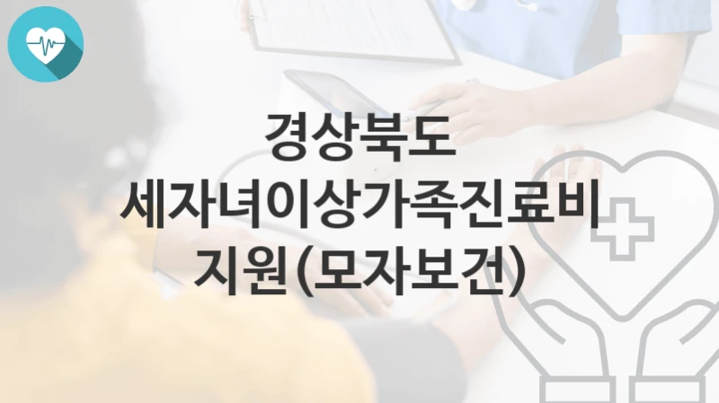 경상북도
세자녀이상가족진료비지원(모자보건)
