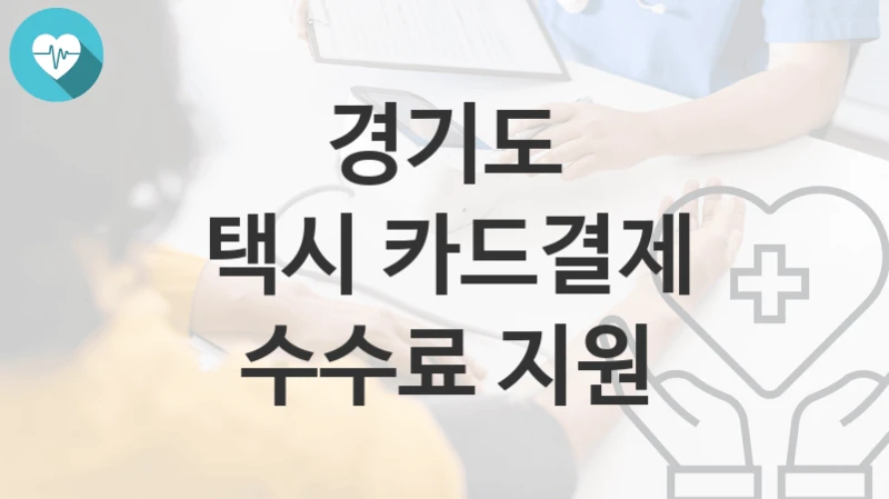 경기도
택시 카드결제 수수료 지원