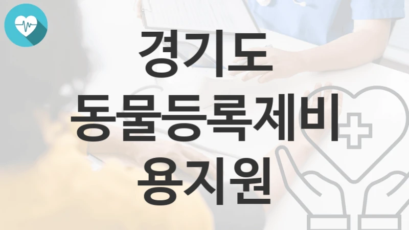 경기도
동물등록제비용지원