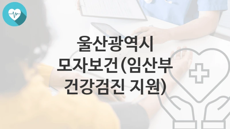울산광역시
모자보건(임산부 건강검진 지원)
