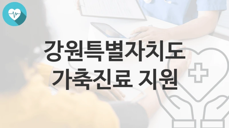 강원특별자치도
가축진료 지원