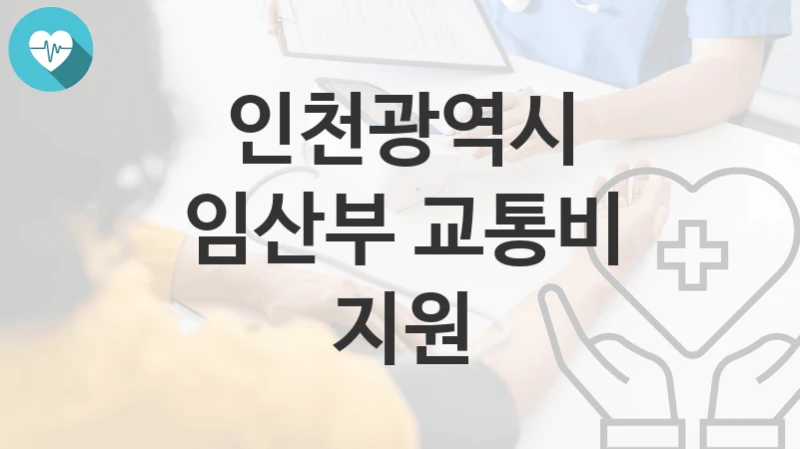 인천광역시
임산부 교통비 지원