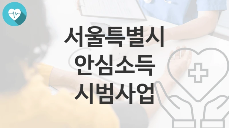 서울특별시
안심소득 시범사업