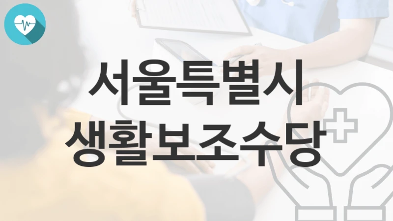 서울특별시
생활보조수당