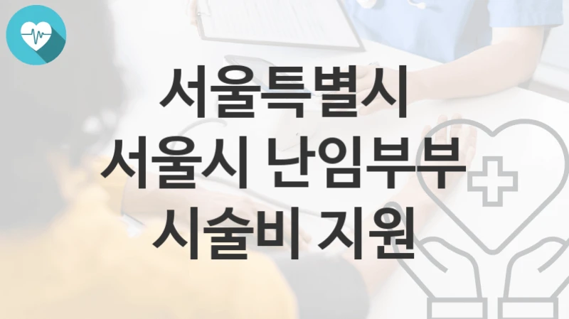 서울특별시
서울시 난임부부 시술비 지원