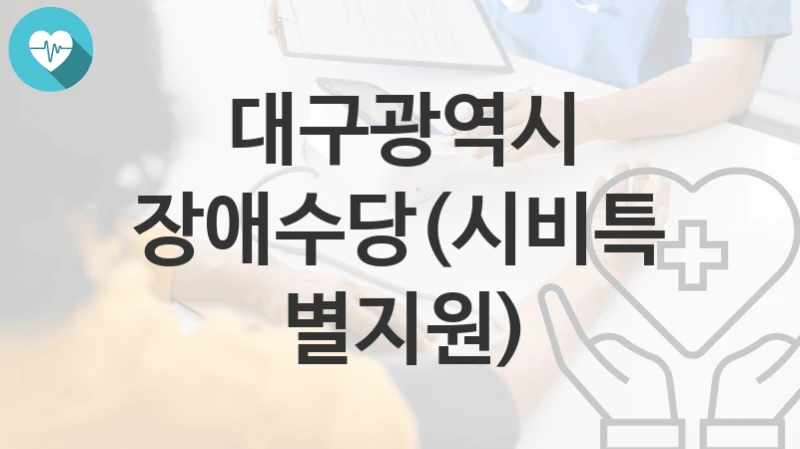 대구광역시
장애수당(시비특별지원)