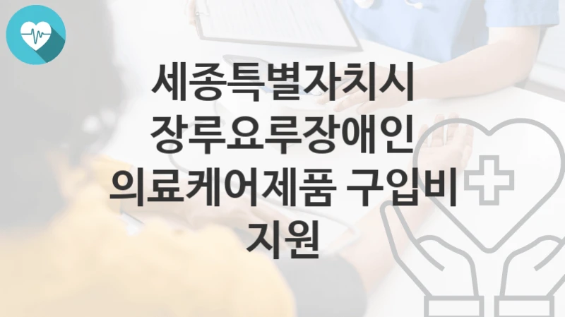 세종특별자치시
장루요루장애인 의료케어제품 구입비 지원