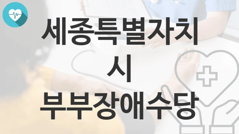 세종특별자치시
부부장애수당