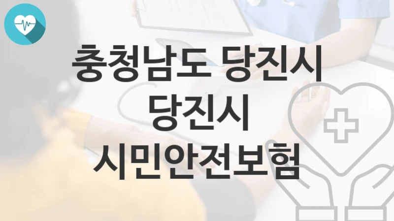 충청남도 당진시
당진시 시민안전보험