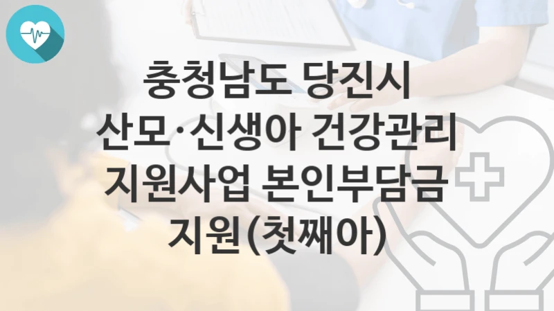 충청남도 당진시
산모·신생아 건강관리 지원사업 본인부담금 지원(첫째아)