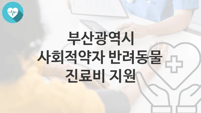 부산광역시
사회적약자 반려동물 진료비 지원