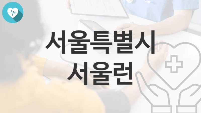 서울특별시
서울런