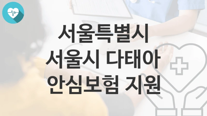 서울특별시
서울시 다태아 안심보험 지원