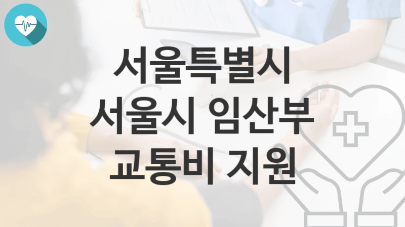 서울특별시 정책 “서울시 임산부 교통비 지원” 저출생담당관 – 신청 구비서류와 자격