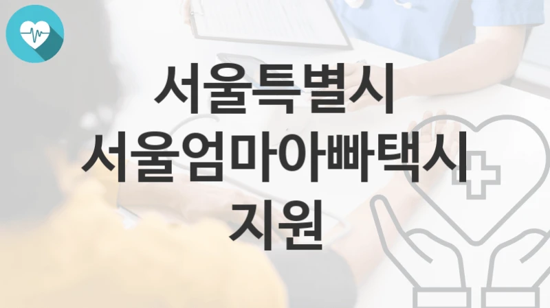서울특별시
서울엄마아빠택시 지원