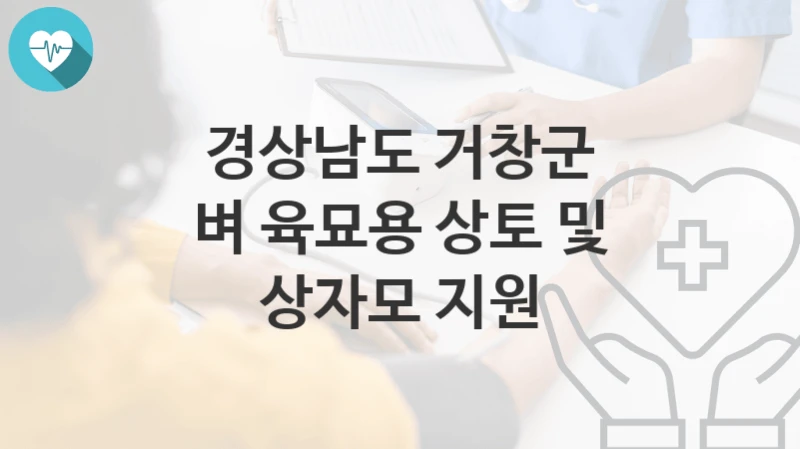경상남도 거창군
벼 육묘용 상토 및 상자모 지원