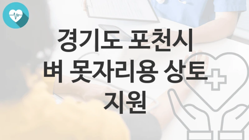경기도 포천시
벼 못자리용 상토 지원