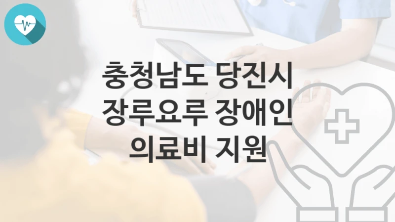 충청남도 당진시
장루요루 장애인 의료비 지원