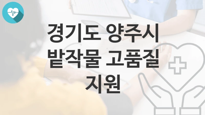 경기도 양주시
밭작물 고품질 지원