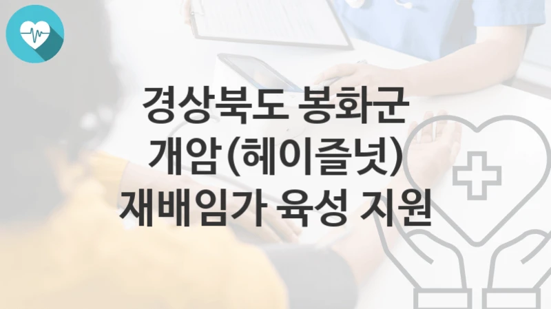 경상북도 봉화군
개암(헤이즐넛) 재배임가 육성 지원