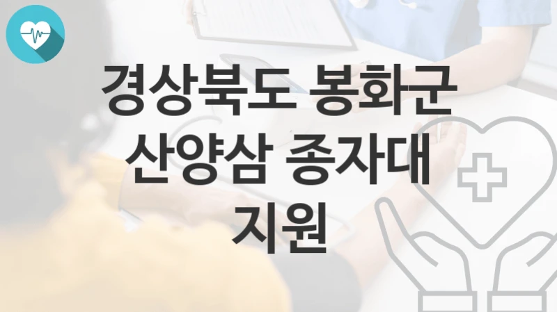 경상북도 봉화군 복지정책 “산양삼 종자대 지원” 산림소득자원과 – 신청 자격조건과 신청방법