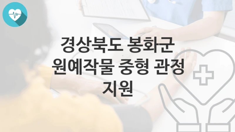 경상북도 봉화군 복지정책 “원예작물 중형 관정 지원” 유통특작과 – 신청 자격조건과 신청방법