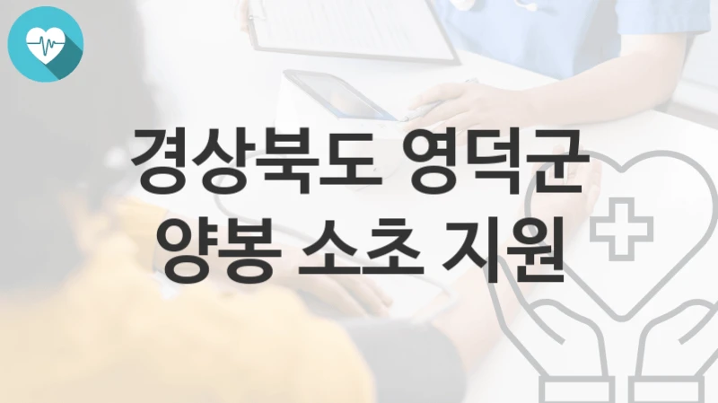 경상북도 영덕군
양봉 소초 지원