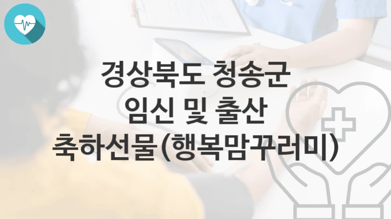 경상북도 청송군
임신 및 출산 축하선물(행복맘꾸러미)