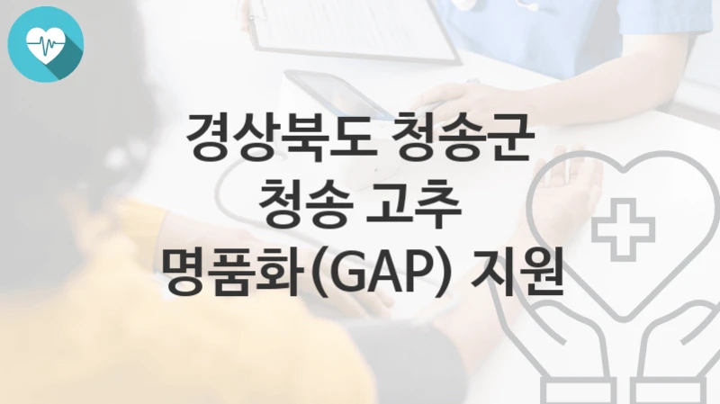 경상북도 청송군
청송 고추 명품화(GAP) 지원