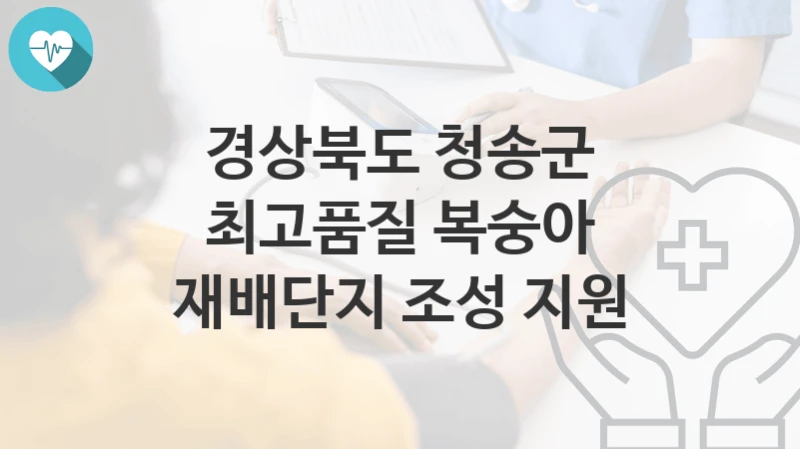 경상북도 청송군
최고품질 복숭아 재배단지 조성 지원