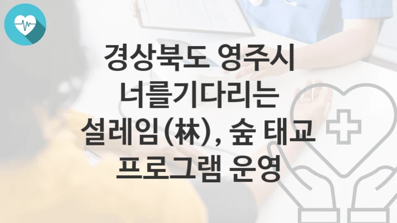 경상북도 영주시, 너를기다리는 설레임(林), 숲 태교 프로그램 운영 지원 정책안내, 신청 구비서류와 일정