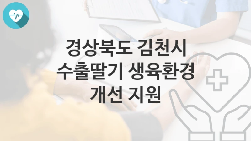 경상북도 김천시
수출딸기 생육환경 개선 지원