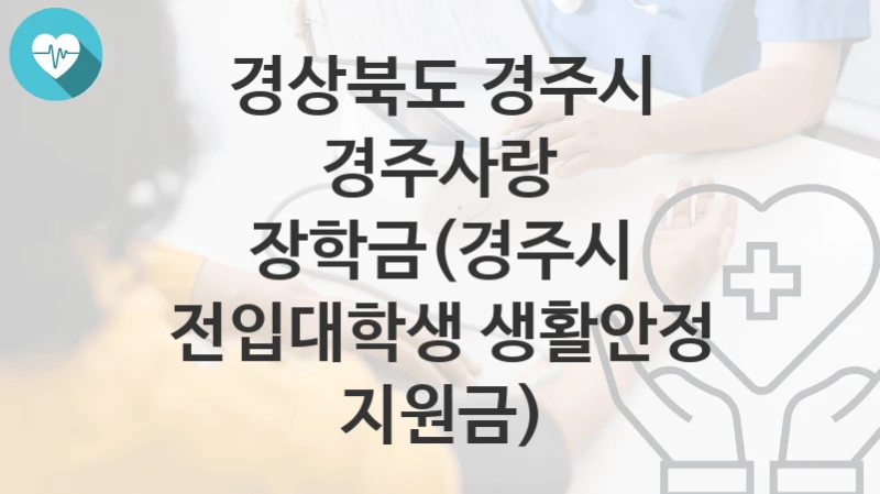 경상북도 경주시
경주사랑 장학금(경주시 전입대학생 생활안정 지원금)