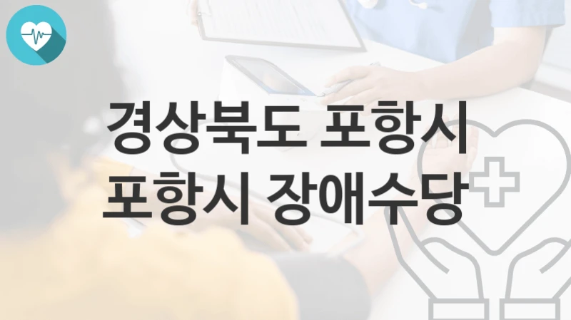 경상북도 포항시
포항시 장애수당