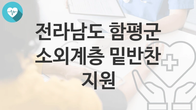 전라남도 함평군
소외계층 밑반찬 지원