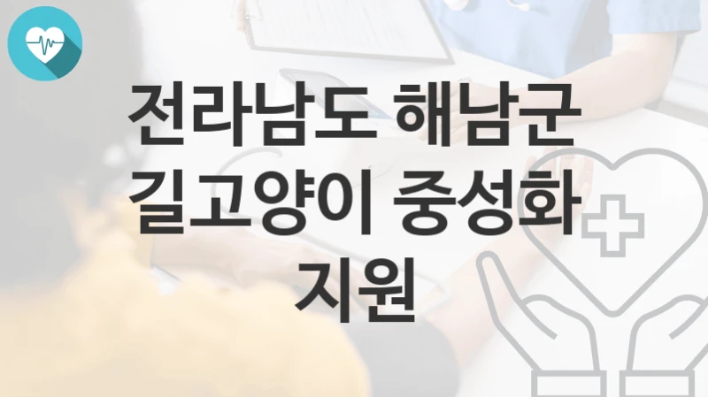 전라남도 해남군
길고양이 중성화 지원