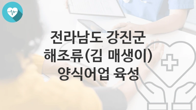 전라남도 강진군
해조류(김∙매생이) 양식어업 육성
